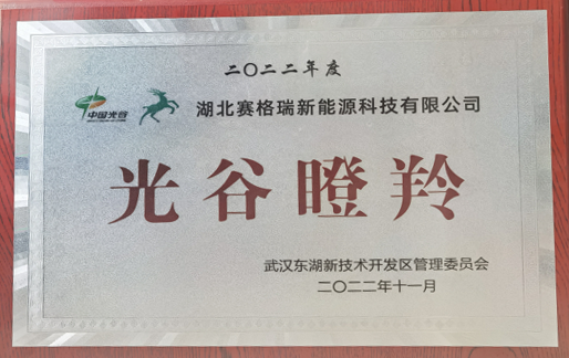 喜訊| 賽格瑞成功入選“光谷瞪羚”企業(yè)